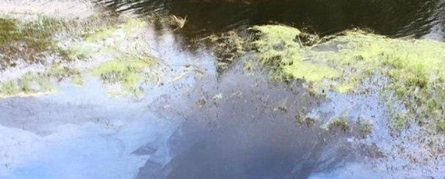 Огромное масляное пятно обнаружено на подмосковной реке Поля