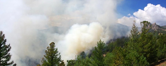 Челябинскую область накрыло дымом от пожаров в лесах ХМАО