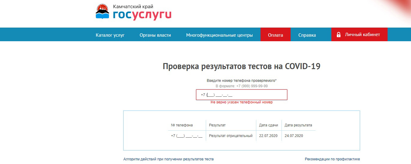 Результаты анализов на госуслугах. Госуслуги Covid. Тестирование госуслуги. Результат теста на госуслугах. Выдаем Результаты теста на госуслугах.