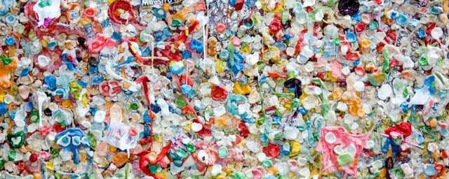 Доказано, что частицы пластика накапливаются в человеческих органах