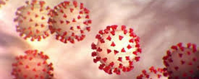 В Новосибирской области снова выявили более 100 случаев коронавируса