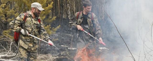 В Мурманской области ведут борьбу с лесными пожарами