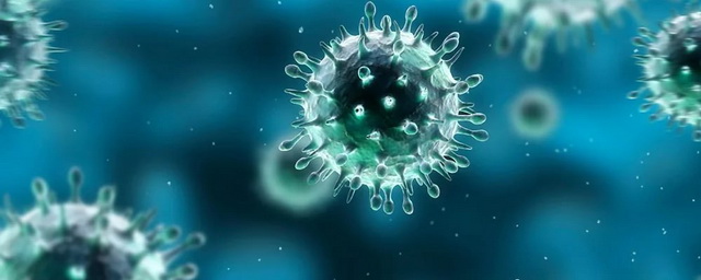 В Новосибирской области за сутки коронавирусом заболели 49 человек