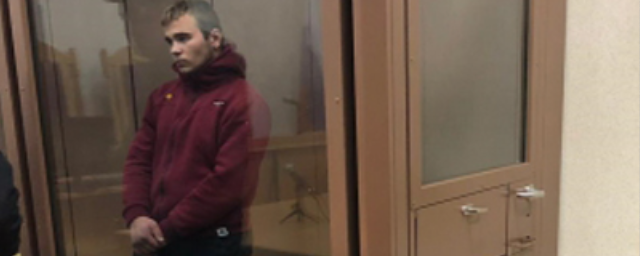 Видео: Убивший ветеранов рязанец попросил у суда снисхождения