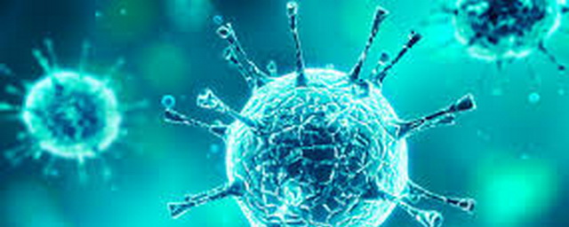 В Красноярском крае за сутки выявили еще 103 случая коронавируса