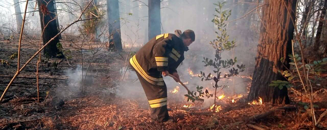 129 га леса загорелись в Краснодарском крае из-за запуска фейерверка