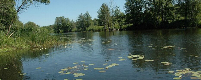 В этом году под Воронежем расчистят 3 км русла реки Усмань