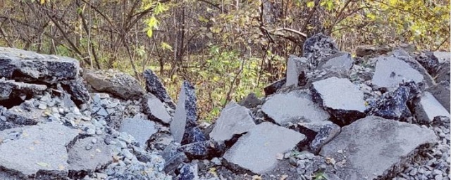 Житель Новосибирска обнаружил незаконную свалку асфальта и щебня в зеленой зоне