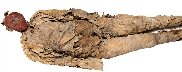 Кремированные кости внутри найденной в 1969 году в Хакасии погребальной куклы принадлежали мужчине