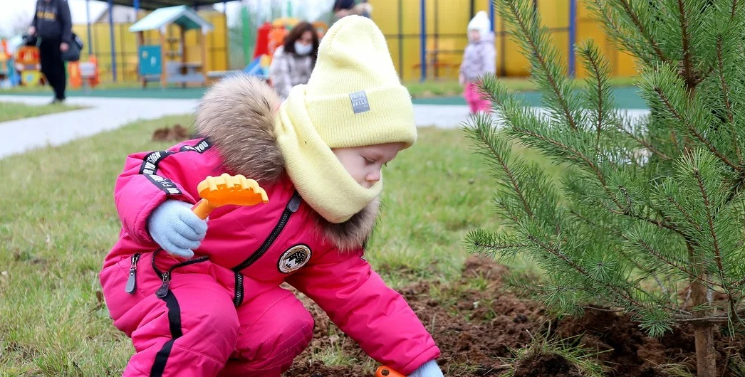 В Красногорске в 2021 году высадили примерно 44 тысячи молодых растений