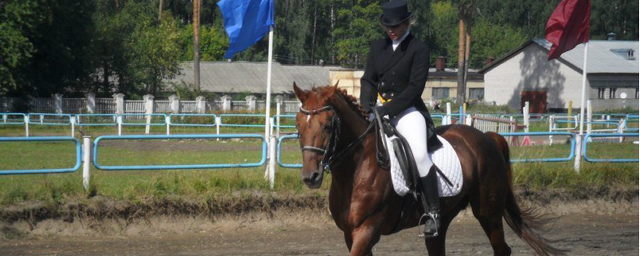 В Костроме построят крытый манеж для занятий конным спортом