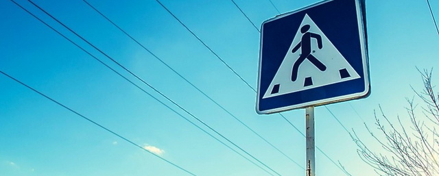 В Электрогорске с начала года установили более 37 дорожных знаков