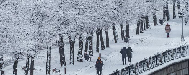 Обильный снегопад и ветер улучшили качество воздуха в Москве
