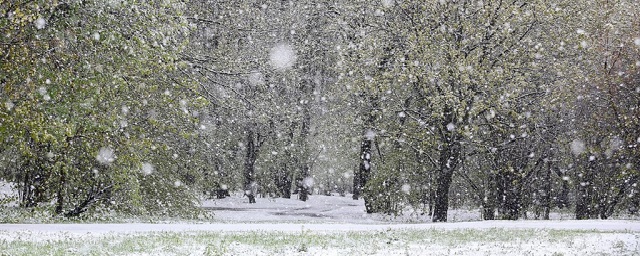 В марте в Курганскую область придут сильные снегопады