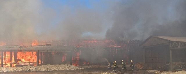 Прокуратура проверяет обстоятельства пожара на Суоярвском лесозаводе