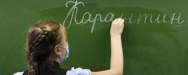 В 16 рязанских школах введен карантин из-за COVID-19