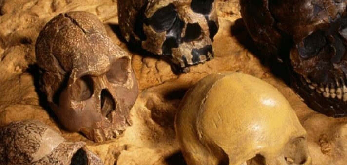 В Керчи рабочие раскопали древнее массовое захоронение