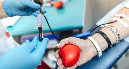 В Севастополе отмечен рост числа доноров крови