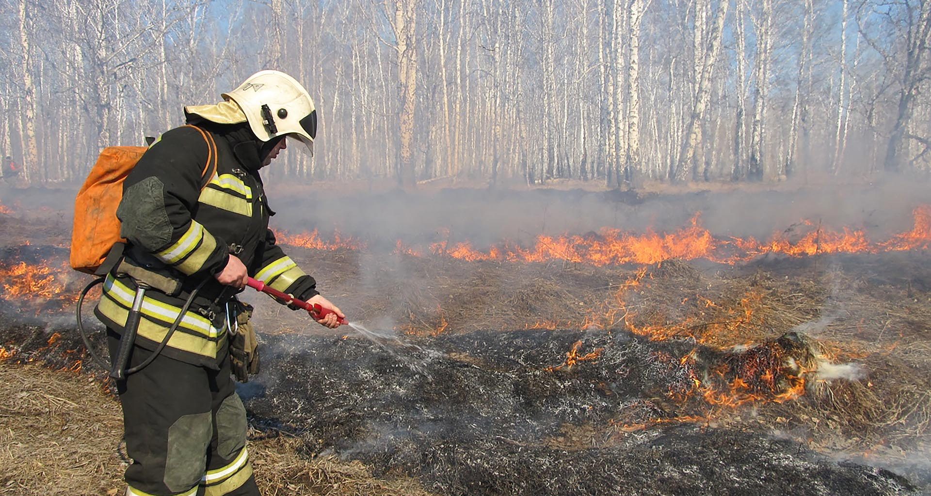 В Тюменской области выявили пожары площадью более 4 тысяч гектар