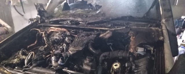 Житель Биробиджана выгуливал собак, в это время горел его автомобиль
