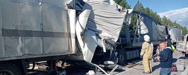 На трассе Екатеринбург–Тюмень столкнулись 4 грузовика