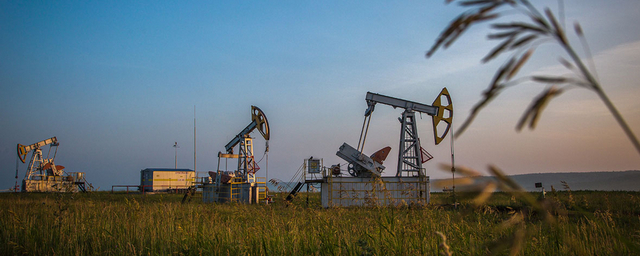 Нефтегазовые компании потеряли лидерство по объему дивидендов