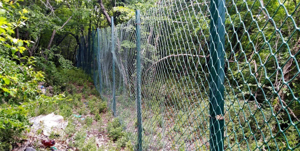 В Геленджике убрали нелегальный забор в лесу