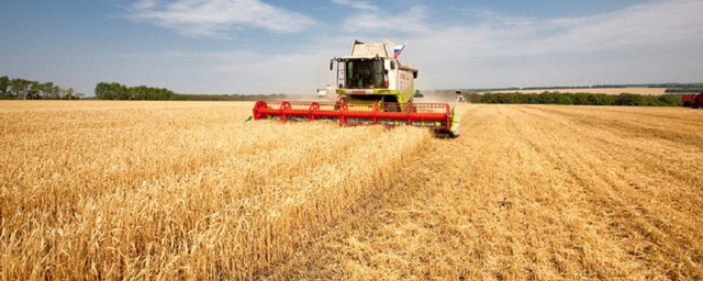 В Тамбовской области началась уборка зерновых