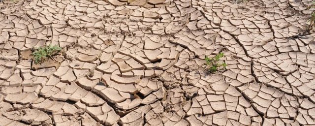 Режим ЧС введен в 39 муниципалитетах Свердловской области из-за засухи
