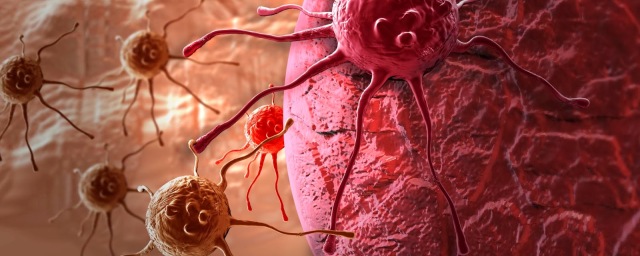 Раковым клеткам позволяет избежать апоптоза недостаток кислорода