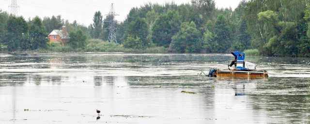 В Электрогорске стартовала очистка «теплых» озер