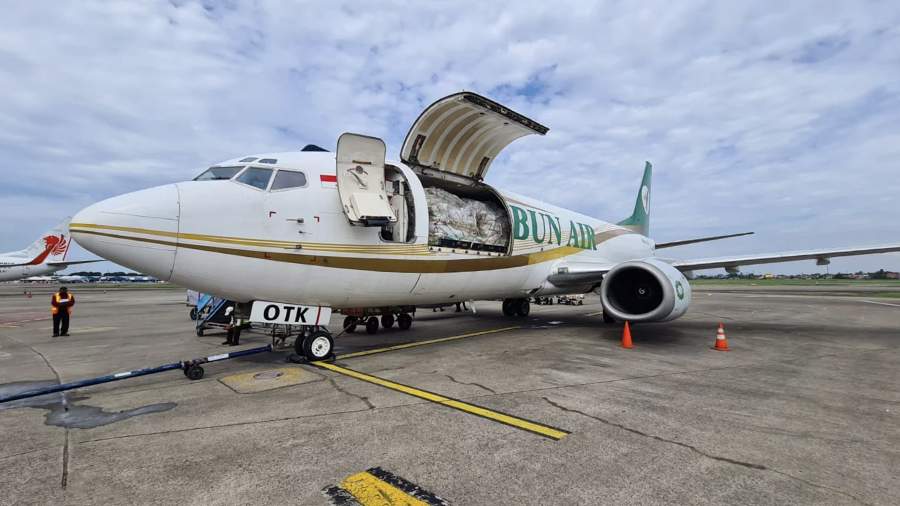 В индонезийской провинции Папуа потерпел крушение грузовой самолет