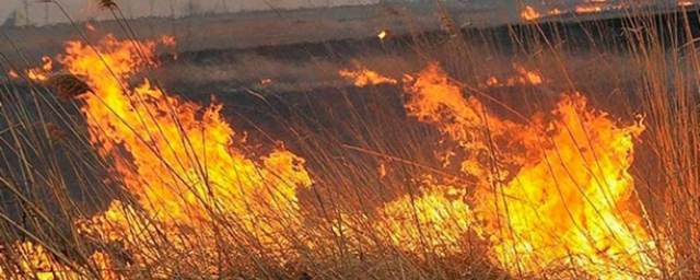 В Оренбургской области из-за пожара в степи загорелись жилые дома
