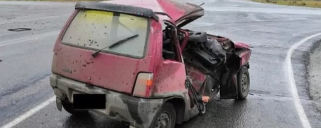 Под Новосибирском погиб водитель «Оки», столкнувшись с «КАМАЗом»