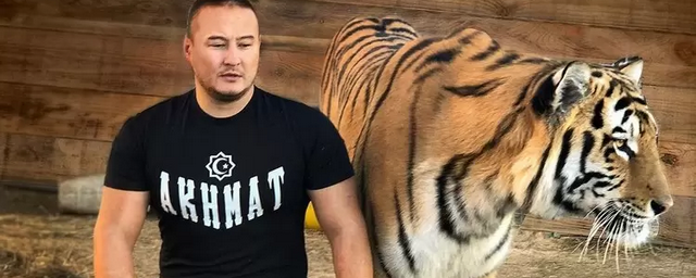 Бывший дрессировщик создал секретный приют для уставших тигров под Новосибирском