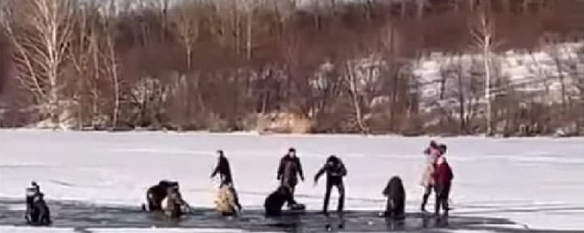 В Алтайском крае туристы провалились под лед, желая без очереди посмотреть на лебедей-крикунов