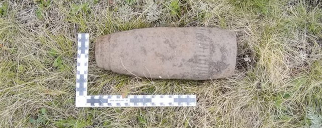 Грибники нашли в лесу Ульяновской области танковые снаряды