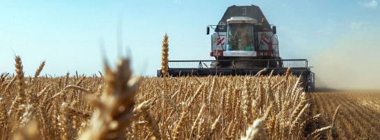 Новосибирские аграрии собрали 3,4 млн тонн зерна