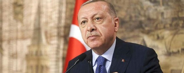 Эрдоган подтвердил создание хаба в Турции для поставки газа из России в Европу
