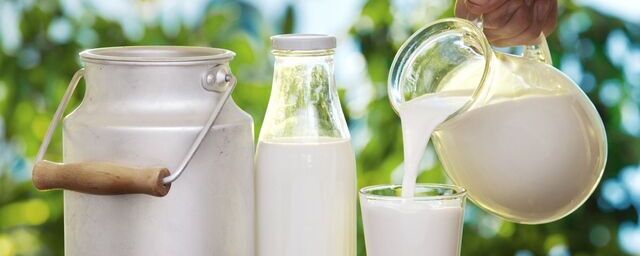 На 6,3% вырос объём реализации молока в российских сельхозорганизациях