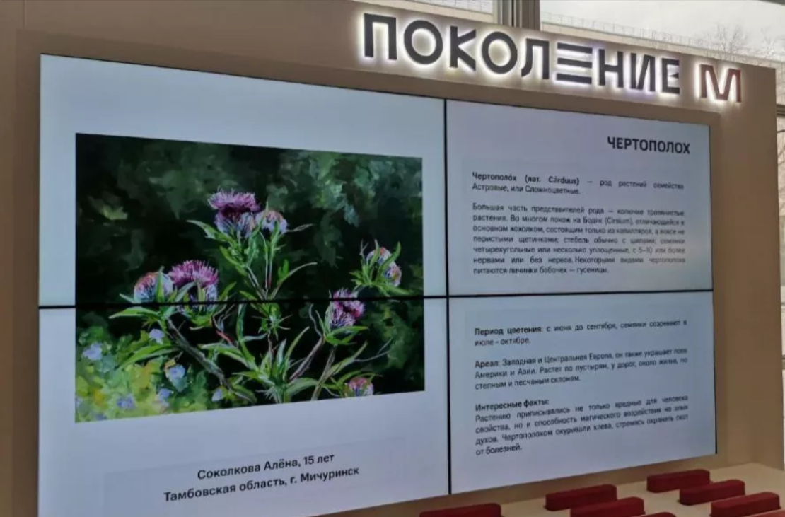 Работа 15-летней жительницы Тамбовской области войдёт в цифровой ботанический атлас Третьяковкой галереи
