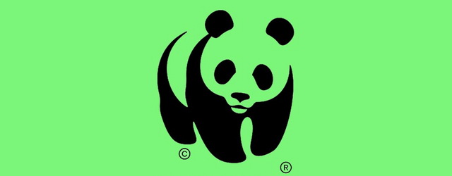 Правительство Чукотки расторгло договор с WWF России  в одностороннем порядке