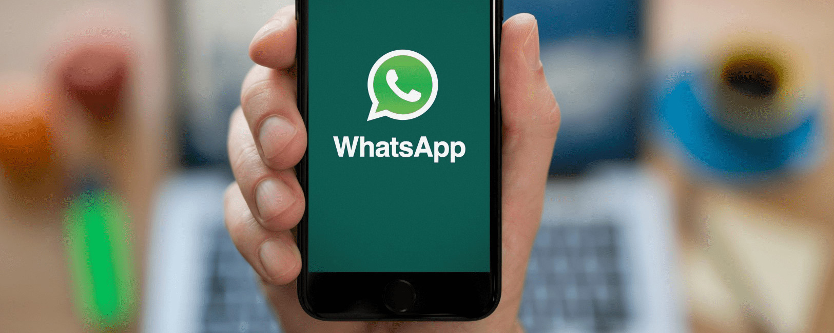 Эксперт Магомедов рассказал, какие секреты знает WhatsApp о пользователях