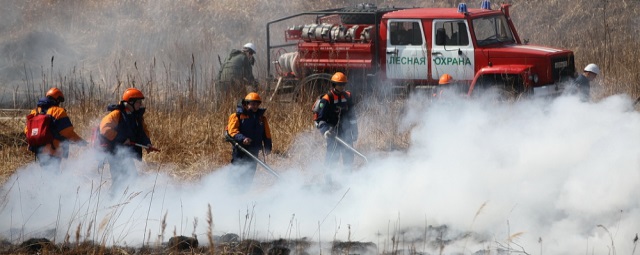 Свердловская область вошла в пятерку лучших регионов по борьбе с лесными пожарами