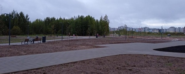 На благоустройство трёх парков Великого Новгорода выделят 62 млн рублей