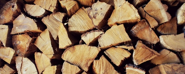 Губернатор Мазур возмутился проблемой заготовки дров в Томской области