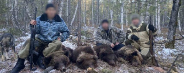 Четверо браконьеров отделались условным сроком за отстрел медведицы и медвежат