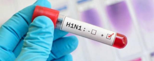 В Калининградской области выросло число зараженных свиным гриппом