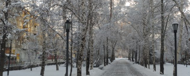 В первой половине декабря в Новосибирске потеплеет до -12 градусов
