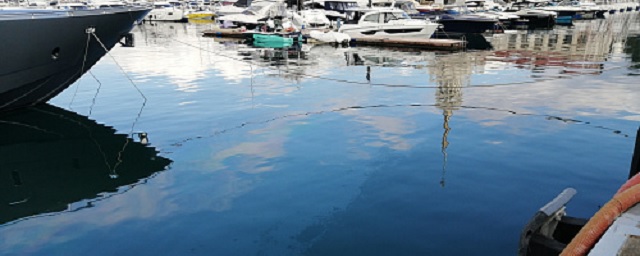 Росприродназор начал расследование загрязнения Чёрного моря в порту Сочи